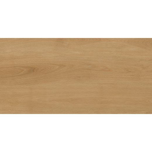 Albero Beige 60х120