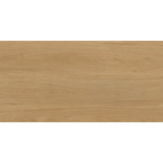 Albero Beige 60х120