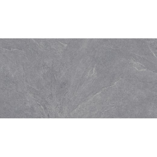 Carbonio Silver 60х120