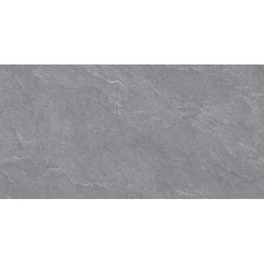 Carbonio Silver 60х120
