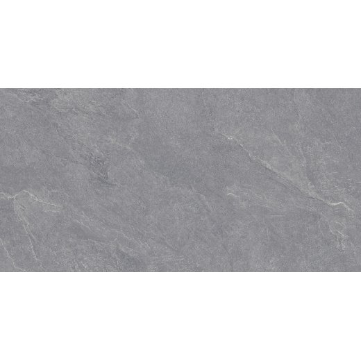 Carbonio Silver 60х120