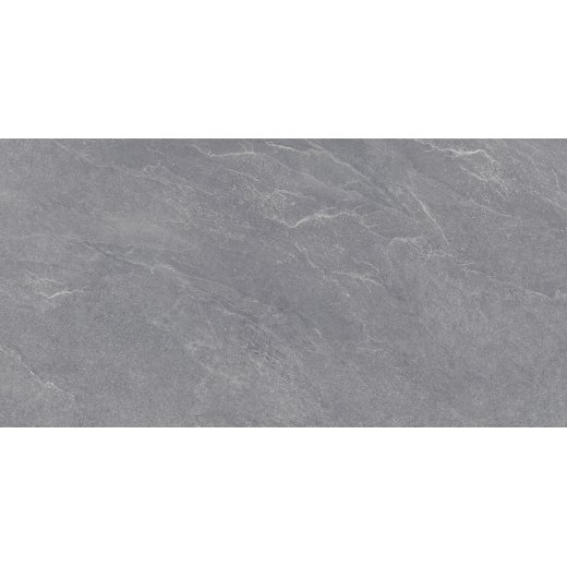 Carbonio Silver 60х120