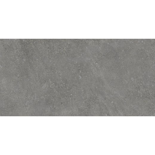 Pietra Grey 60х120